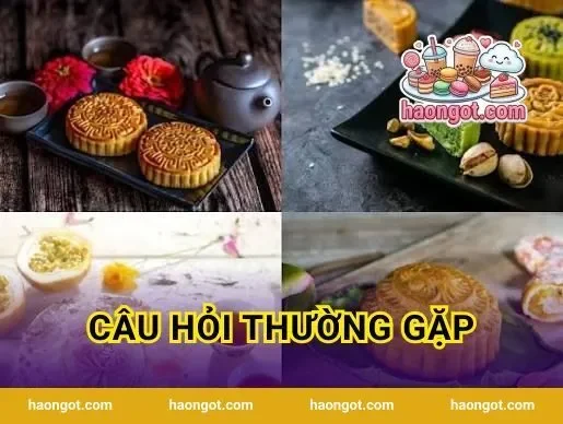 Câu Hỏi Thường Gặp